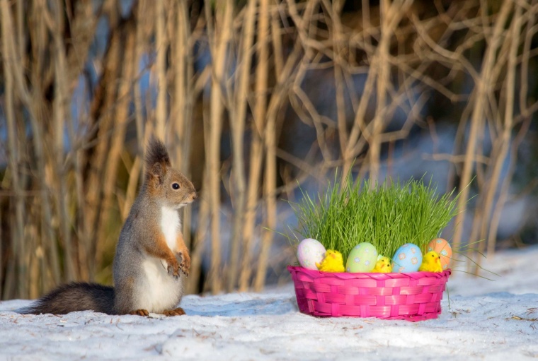 Huhtikuu: Oravan pääsiäinen, Anne Jaatinen, Karttula